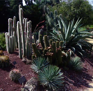 Los Angeles Arboretum